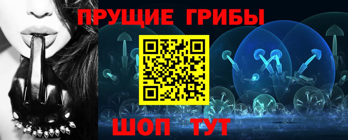 Калининград  Галлюциногенные грибы Magic Shrooms  Вход с VPN 