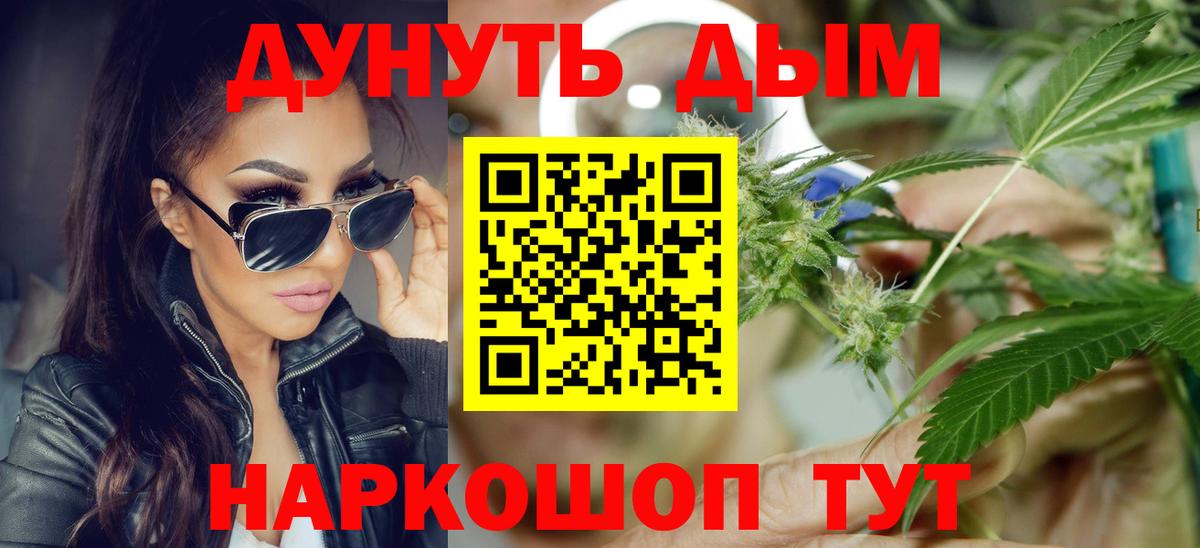 Каннабис индика Калининград